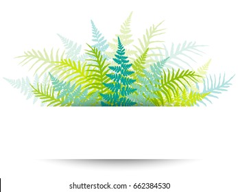 Fern frond frame vector illustration. Garden plant leaves decoration on white background. Detailed bracken fern drawing in blue and green, tropical forest herbs, fern frond grass card border.