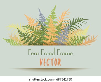 Fern frond frame vector illustration. Polypodiophyta plant leaves decoration on grey background. Detailed bracken fern drawing, tropical forest herbs, brown and green bushes card border.