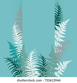 Fern frond frame vector illustration. Polypodiophyta plant leaves decoration on blue background. Detailed bracken fern image, tropical forest herbs, fern frond grass card border.