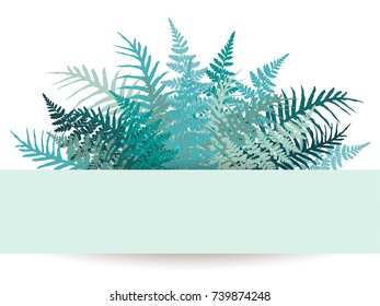 Fern frond frame vector illustration. Polypodiophyta plant leaves decoration on white background. Detailed bracken fern image, tropical forest herbs, fern frond grass card border.