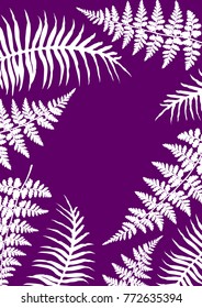 Fern frond frame vector illustration. Polypodiophyta plant white leaves decoration on violet background. Detailed bracken fern image, tropical forest herbs, fern frond grass card border.