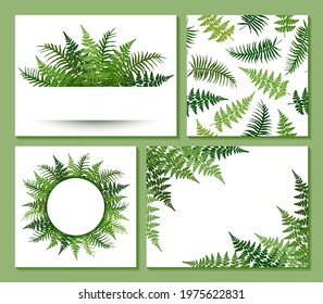 Fern Frond Frames And Pattern Vector Collection. Polypodiophyta Plant Leaves Decoration On White Background. Detailed Bracken Fern Drawing, Tropical Forest Herbs, Fern Frond Grass Card Frame Borders.