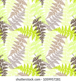 Fern frond herbs, tropical forest plant leaves seamless vector illustration. Repeating herbal pattern. Forest bush plant, jungle leaves tropical fern grass herb seamless background.