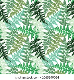 Fern frond herbs, tropical forest plant leaves seamless vector backdrop. Repeating herbal pattern. Forest bush plant, exotic leaves tropical fern grass herb seamless textile background.