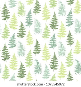 Fern frond herbs, tropical forest plant leaves seamless vector illustration. Simple herbal pattern. Bracken foliage, forest jungle leaves tropical fern grass herb seamless fabric background.
