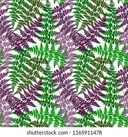 Fern frond herbs, tropical forest plant leaves seamless vector wrapping paper. Marvelous herbal pattern. Bracken foliage, forest exotic leaves tropical fern grass herb seamless textile background.