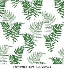 Fern frond herbs, tropical forest plant leaves seamless vector background illustration. Bracken foliage, jungle leaves, tropical fern forest grass herb. White background.