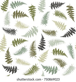 Fern frond herbs, tropical forest plant leaves seamless vector background illustration. Bracken foliage, forest jungle leaves, tropical fern grass herb seamless pattern background.