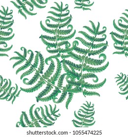 Fern frond herbs, tropical green forest plant leaves seamless vector background illustration.