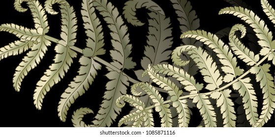 Fern frond herbs, tropical green forest plant leaves vector background illustration.