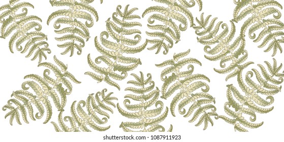 Fern frond herbs, tropical green forest plant leaves vector background illustration.