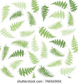 Fern frond herbs, tropical green forest plant leaves seamless vector background illustration.  