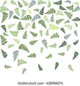 Fern frond isolated falling down vector illustration, green plant leaves on light background. Detailed fern frond parts confetti. Tropical forest or garden herbs, grass.