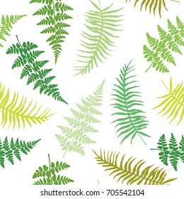 Fern frond seamless vector illustration, green and brown tropical forest plant leaves on white background. Detailed ferns drawing, textile print. Jungle or garden herbs, bracken grass, foliage.