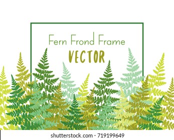 Fern frond tropical forest background leaves vector frame illustration. Green bushes forest growing plants leaves background. Fern frame, grass print with place for text.