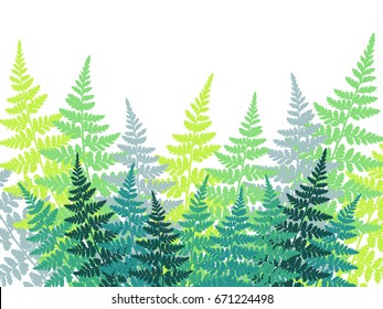 Fern frond tropical forest leaves vector background illustration. Green and blue garden plant leaves pattern on white. Detailed ferns drawing, herbs, grass print with place for text.