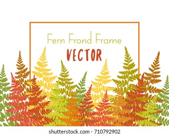 Fern frond tropical forest leaves vector background illustration. Autumn colors growing plant jungle leaves pattern on grey. Fern frame, tropical forest background with bracken bushes, place for text.