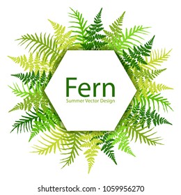 Fern frond tropical leaves frame vector illustration. Bush plant leaves decoration on white background. Green bracken and new zealand fern tropical forest herbs, fern frond grass hexagon card border.