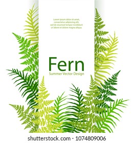 Fern frond tropical leaves frame vector illustration. Bush plant leaves decoration on white background. Detailed bracken new zealand fern tropical forest herbs, fern frond grass vertical card border.