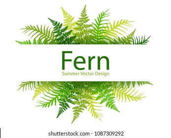 Fern frond tropical leaves frame vector illustration. Bush plant leaves decoration on white background. Green bracken new zealand fern tropical forest herbs, fern frond grass horizontal card border.