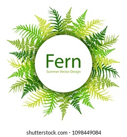 Fern frond tropical leaves frame vector illustration. Bush plant leaves decoration on white background. Green bracken and new zealand fern tropical forest herbs, fern frond grass card circle border.