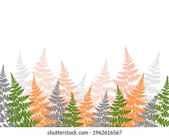 Fern frond tropical leaves frame vector illustration. Bush plant leaves decoration on white background. Detailed bracken and new zealand fern tropical forest herbs, fern frond grass card bottom border