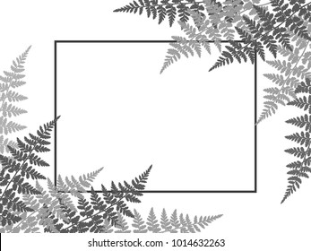 Fern frond twigs frame vector illustration. Polypodiophyta plant bush leaves and twigs background decor.  Detailed bracken silver fern vector, tropical forest grass herbs growing card border.