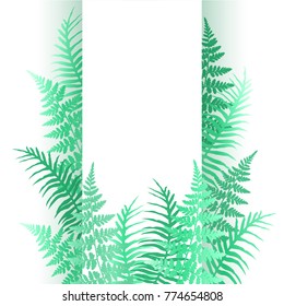Fern frond twigs frame vector illustration. Polypodiophyta plant bush leaves background decor.  Detailed bracken fern vector, tropical forest grass herbs growing card border in sea green.