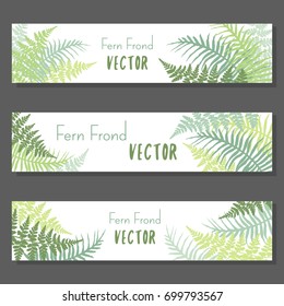 Fern frond vector illustration horizontal banners set. Polypodiophyta plant leaves decoration on white background. Detailed bracken fern drawing, tropical forest herbs, fern frond grass cards, banners