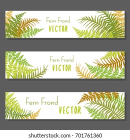 Fern frond vector illustration horizontal banners set. Polypodiophyta plant leaves decoration on white background. Detailed bracken fern drawing, tropical forest herbs, fern frond grass banners.