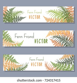 Fern frond vector illustration horizontal banners set. Polypodiophyta plant leaves decoration on white background. Detailed bracken fern image, tropical forest herbs, fern frond grass banners.