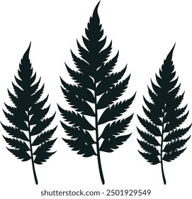 Fern glyph icon. Simple solid Style, Three leaves of fern. Black isolated prints of fern leaves on the white background, Three leaf fern silhouettes