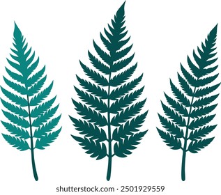 Fern glyph icon. Simple solid Style, Three leaves of fern. Black isolated prints of fern leaves on the white background, Three leaf fern silhouettes