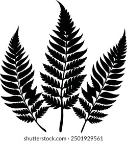Fern glyph icon. Simple solid Style, Three leaves of fern. Black isolated prints of fern leaves on the white background, Three leaf fern silhouettes