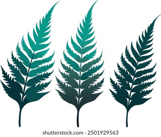 Fern Glyphe Symbol. Einfache solide Stil, Drei Blätter Farn. Schwarze einzelne Drucke von Farnblättern auf weißem Hintergrund, Drei-Blatt-Farn-Silhouetten