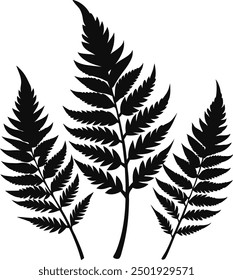 Fern glyph icon. Simple solid Style, Three leaves of fern. Black isolated prints of fern leaves on the white background, Three leaf fern silhouettes