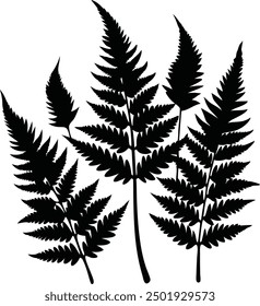 Fern glyph icon. Simple solid Style, Three leaves of fern. Black isolated prints of fern leaves on the white background, Three leaf fern silhouettes