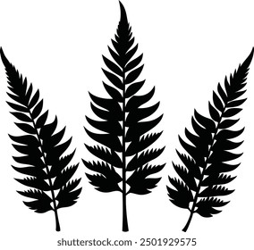 Fern glyph icon. Simple solid Style, Three leaves of fern. Black isolated prints of fern leaves on the white background, Three leaf fern silhouettes