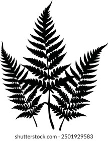 Fern glyph icon. Simple solid Style, Three leaves of fern. Black isolated prints of fern leaves on the white background, Three leaf fern silhouettes