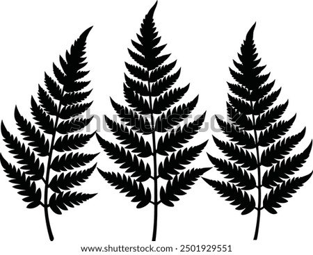 Similar – Image, Stock Photo fern Fern Fern leaf