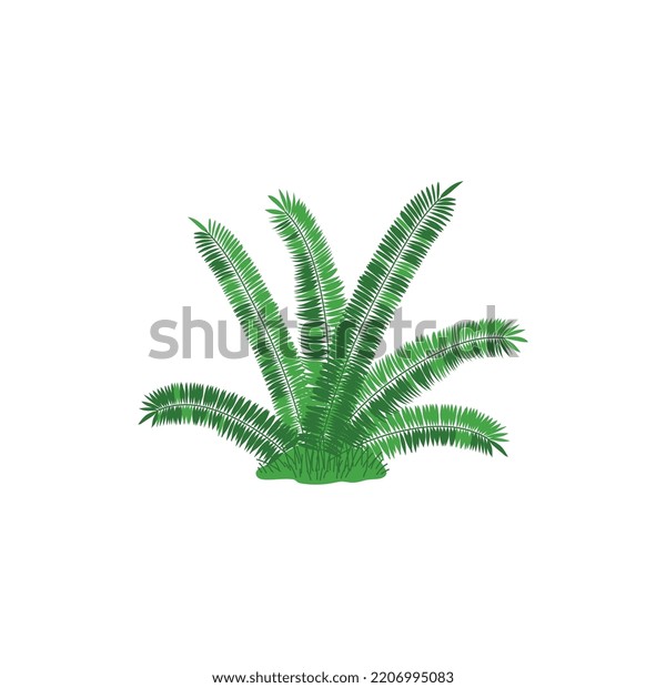 Fern Green Prehistoric Plant Jurassic Period Stock Vector (Royalty Free ...