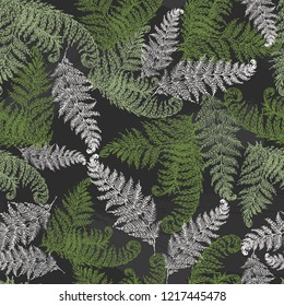 Fern herbs, tropical forest plant leaves seamless vector wrapping paper. Modern herbal pattern. Bracken foliage, forest exotic leaves tropical fern grass herb seamless fabric background.
