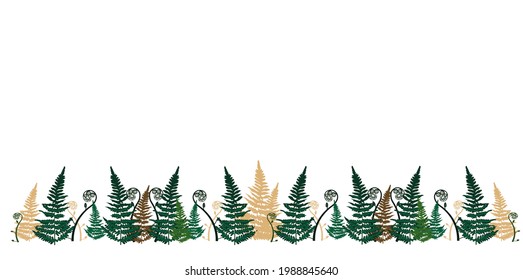 Fern horizontal banner. Vector stock illustration. Isolated on a white background. Summer. Dark green foliage. Forest frame.