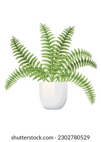 Fern houseplant in white ceramic pot vector illustration isolated on white background