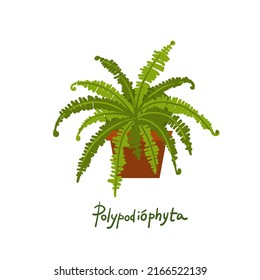 Fern. Houseplants vector illustrations. Urban jungles. Plants are friends. Culd be used for web, notebook, phone case, etc