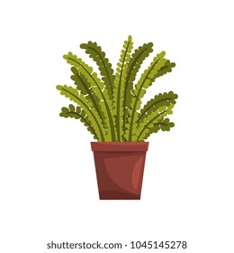 Fern indoor house plant in brown pot, element for decoration home interior vector Illustration on a white background