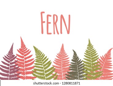 Fern leaf background. Tropical botanical card. Vector illustration