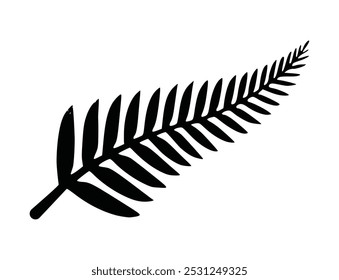 fern leaf black vector designs