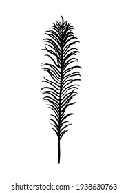 A fern leaf. Contour drawing by hand. Doodle style.