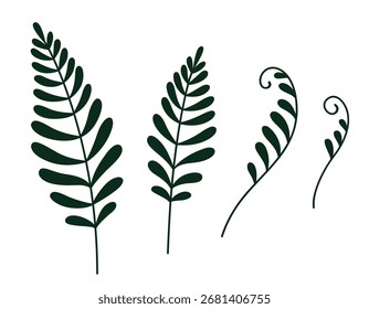 Conjunto de dibujo de doodle de hoja de helecho. Sencilla Ilustración vectorial de silueta monocromática.
